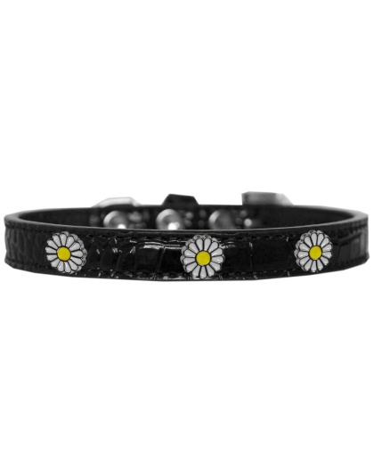 White Daisy Widget Croc Dog Collar Black Size 10