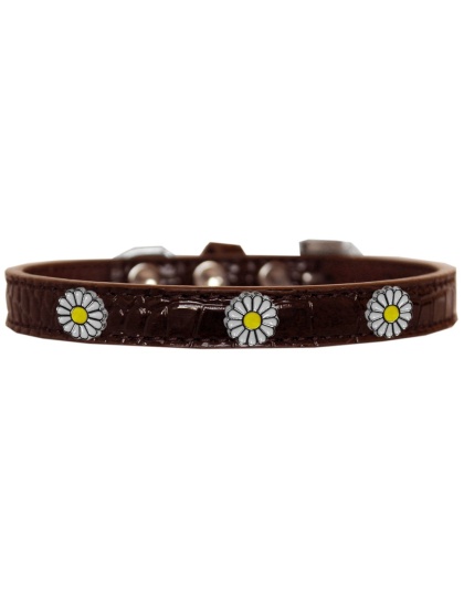 White Daisy Widget Croc Dog Collar Chocolate Size 10