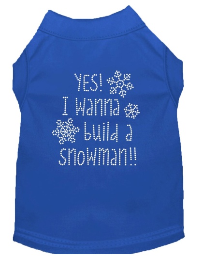 Yes! I want to build a Snowman Rhinestone Dog Shirt Blue Lg