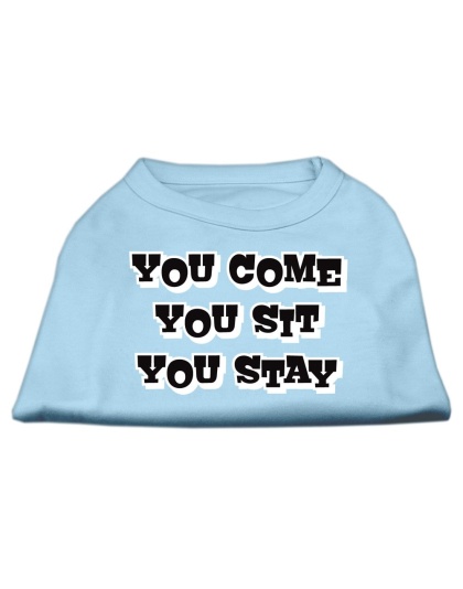 You Come, You Sit, You Stay Screen Print Shirts Baby Blue L